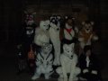 DSCF2762.JPG